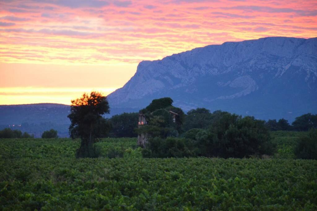 Апартаменты Vue Sainte Victoire, Proche Aix-En-Provence Pourrieres Экстерьер фото